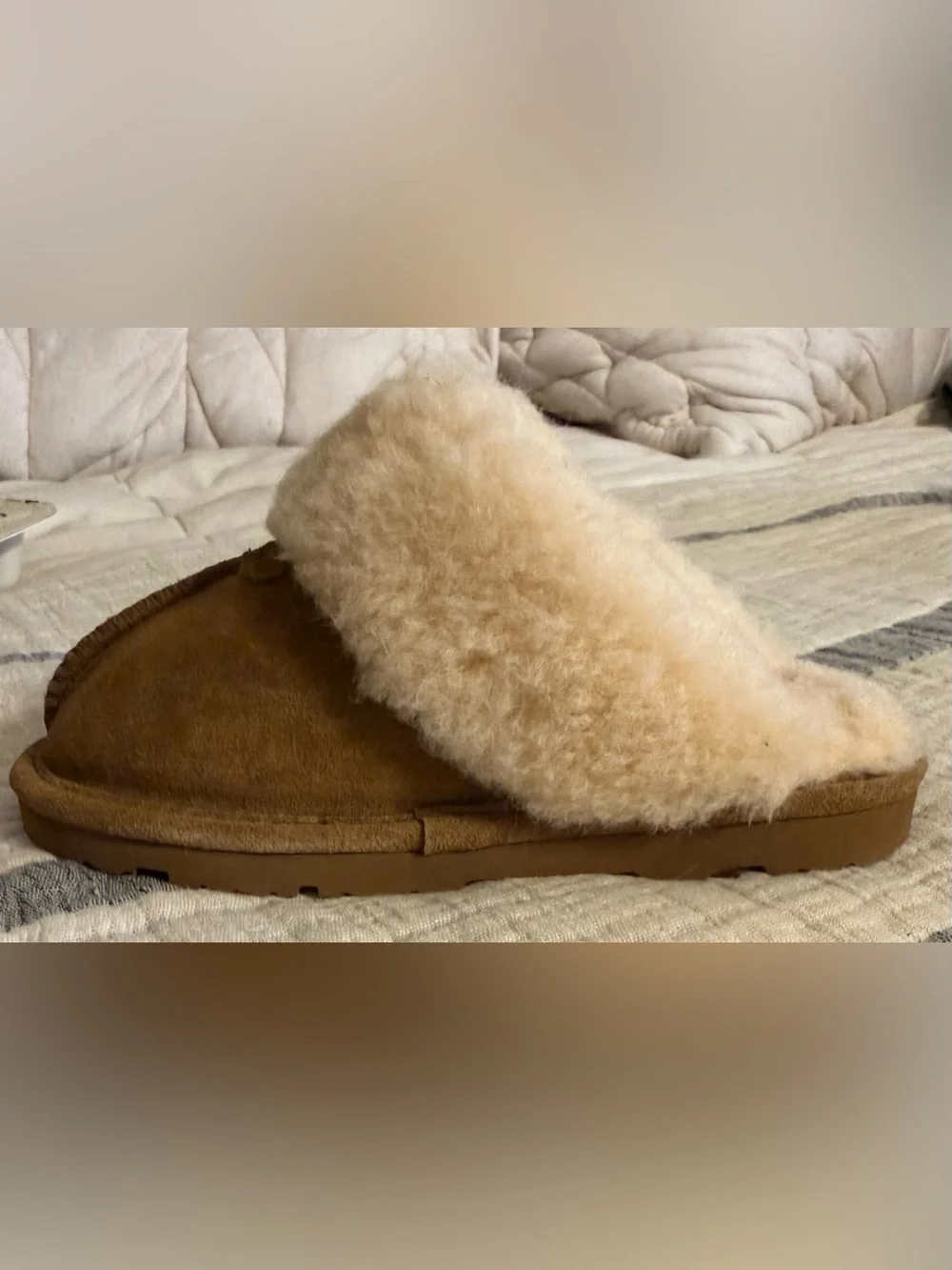 BearPaw plush shearling